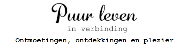 Schermafbeelding-2026-08-22-094905-1